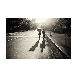 dailyPhoto13
